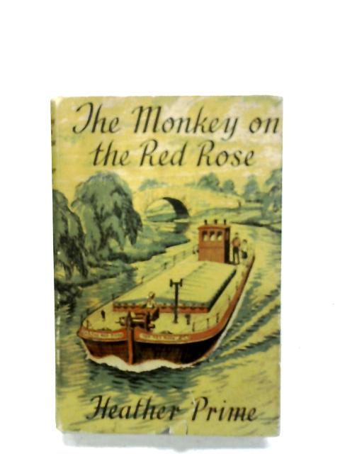 The Monkey On The Red Rose By Heather Prime