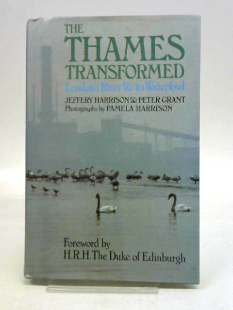 The Thames Transformed. London's River And Its Waterfowl By Jeffrey Harrison
