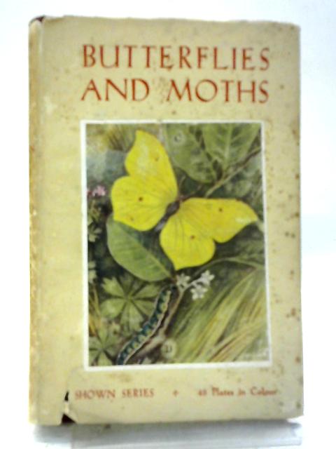 Butterflies and Moths By Various