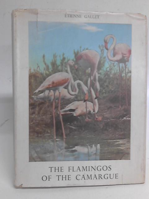 The Flamingos of the Camargue By Etienne Gallet