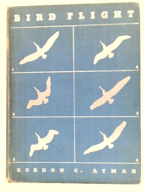 Bird Flight By Gordon C. Aymar