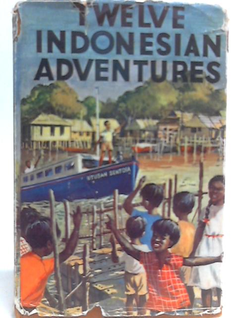 Twelve Indonesian Adventures By Mathew Henderson Finlay