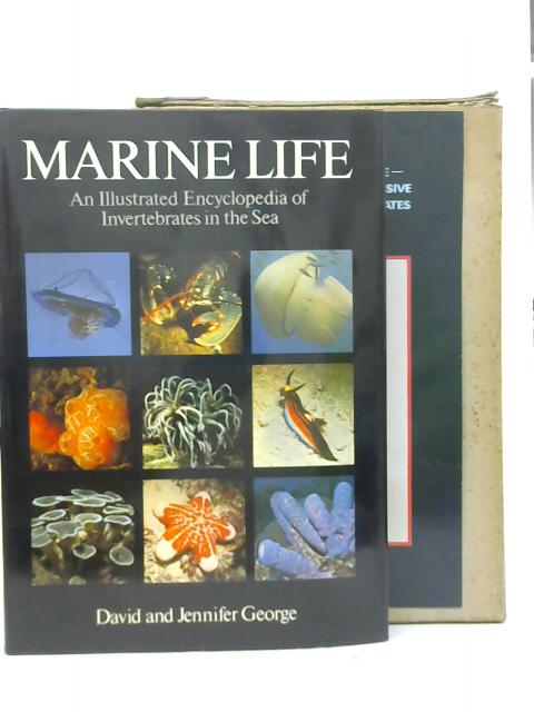 Marine Life: Illustrated Encyclopaedia of Invertebrates in the Sea By J D & J J George