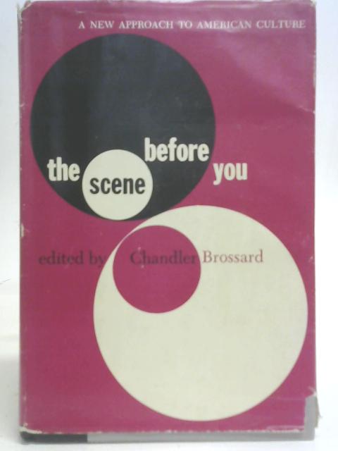 The Scene Before You: A New Approach to American Culture By Unstated