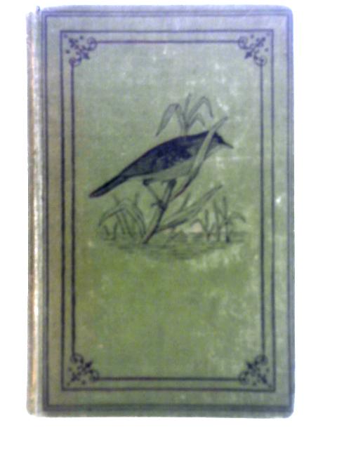 Beautiful Birds Described, Vol. III By Robert Tyas