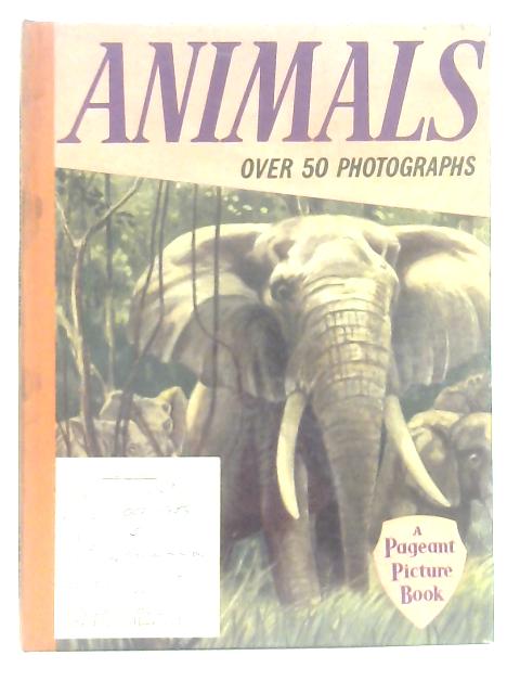 Animals, A Pageant Picture Book By Various