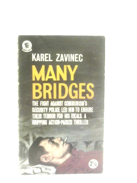 Many Bridges By Karel Zavinec