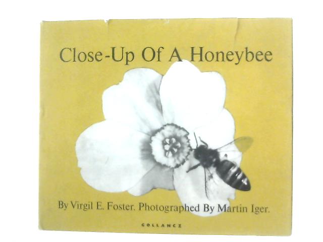 Close-up of a Honeybee von Virgil Elwood Foster