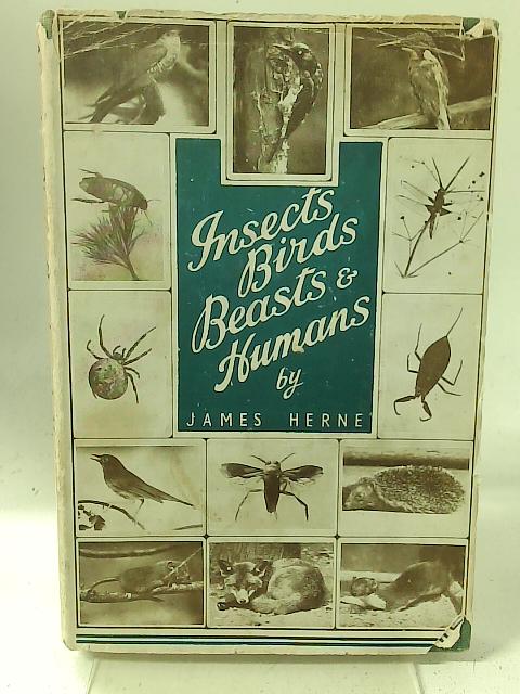Insects, Birds, Beasts, and Humans By James Herne