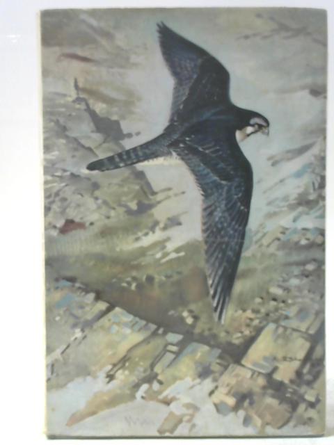 Varda: The Flight of a Falcon von Robert Murphy
