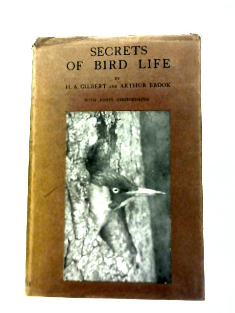 Secrets Of Bird Life By H. A. Gilbert & Arthur Brook