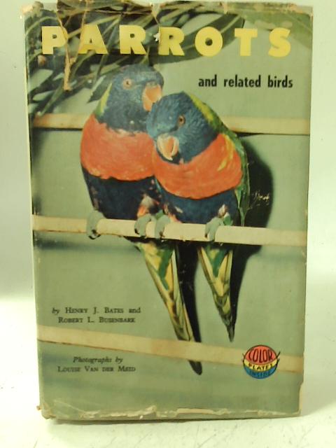 Parrots and Related Birds By Henry Bates