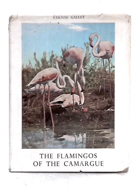 The Flamingos of the Camargue By Etienne Gallet