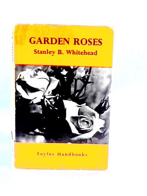 Garden Roses By Stanley B. Whitehead