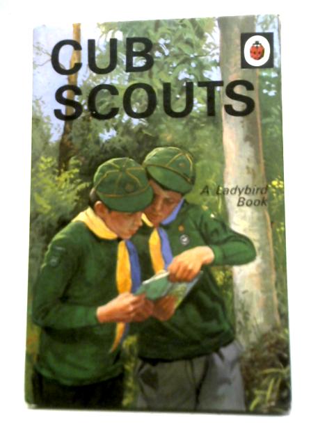 Cub Scouts By D Harwood