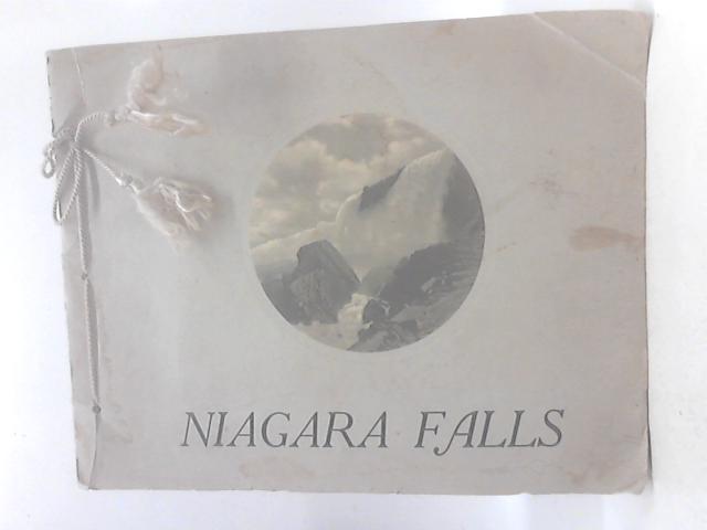 Niagara Falls von Unstated