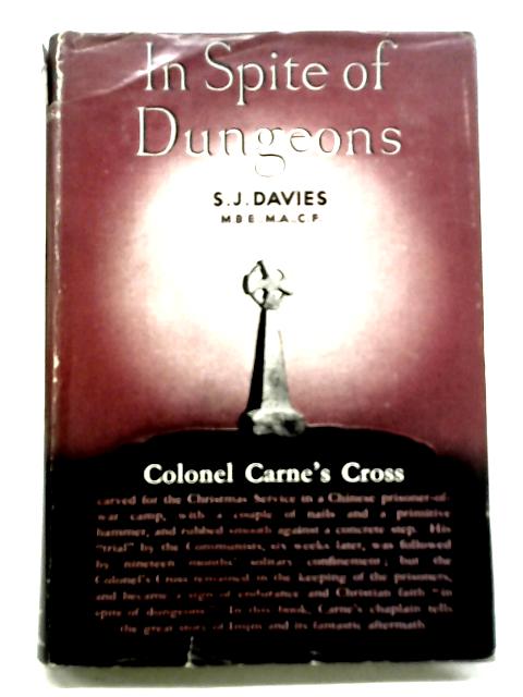 In Spite of Dungeons By S. J. Davies