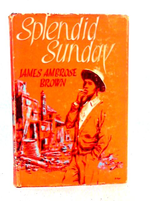 Splendid Sunday By James Ambrose Brown