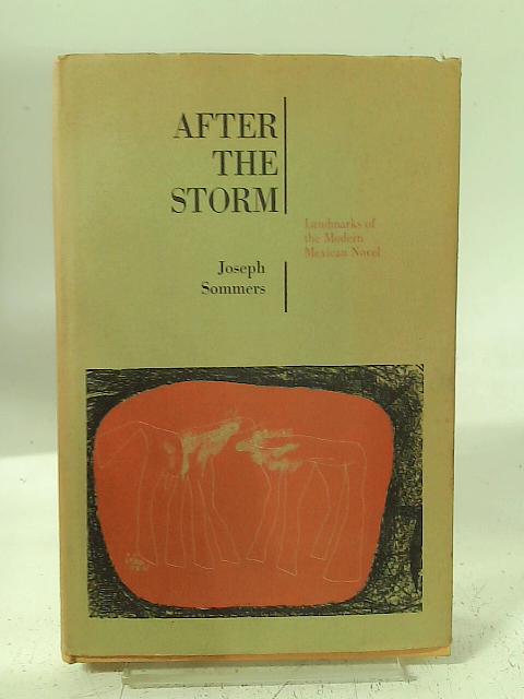 After the Storm By Joseph Sommers