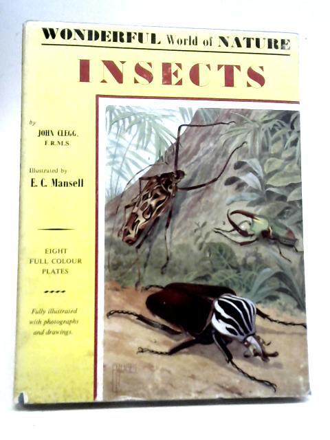 Studying Insects By John Clegg