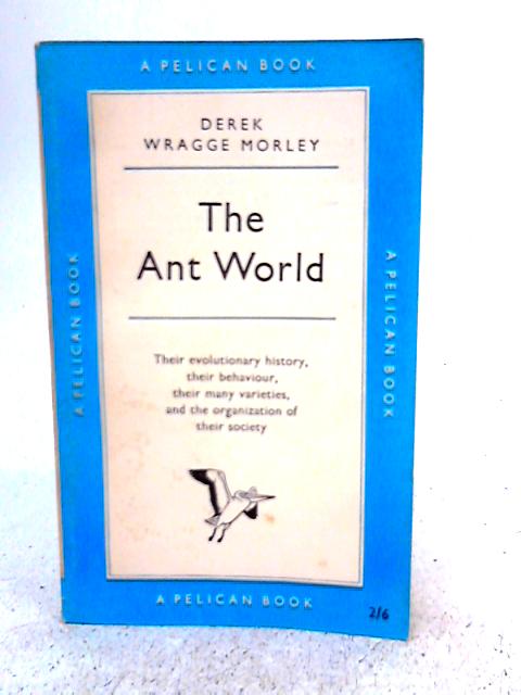 The Ant World By Derek Wragge Morley