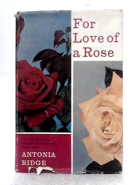 For Love of a Rose By Antonia Ridge