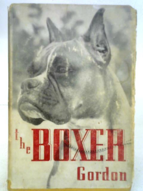 The Boxer By Daniel Morris Gordon