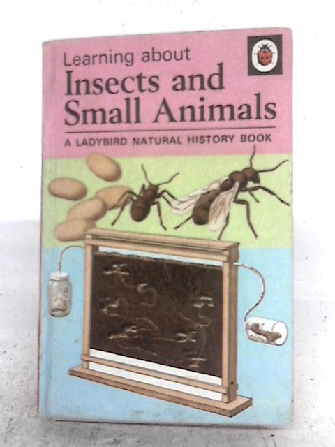 Insects And Small Animals von Romola Showell