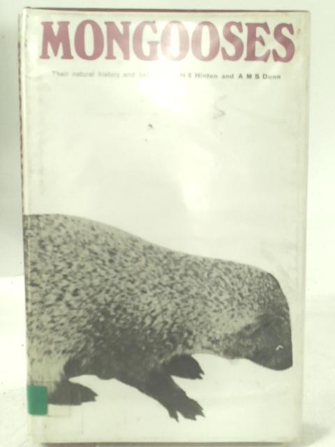 Mongooses, Their Natural History And Behaviour By Hehinton And Amsdunn