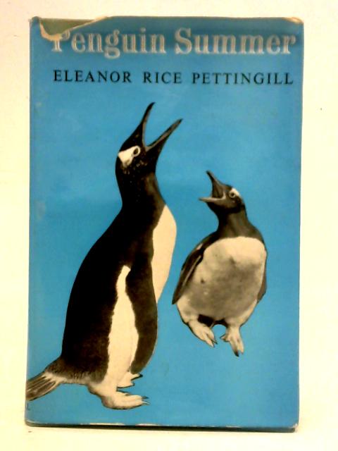 Penguin summer By Eleanor Rice Pettingill