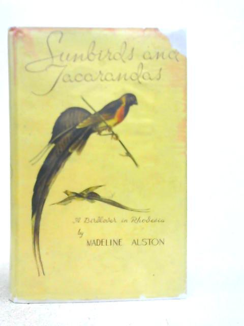 Sunbirds and Jacarandas By Madeline Alston
