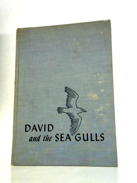 David and the Sea Gulls: A Story in Photographs By Yolia Niclas