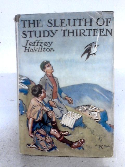 The Sleuth Of Study Thirteen By Jeffrey Havilton