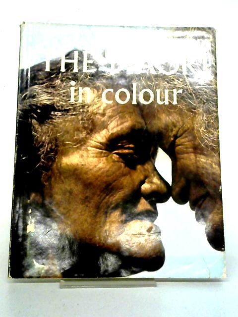 The New Zealand Maori in Colour von Harry Dansey