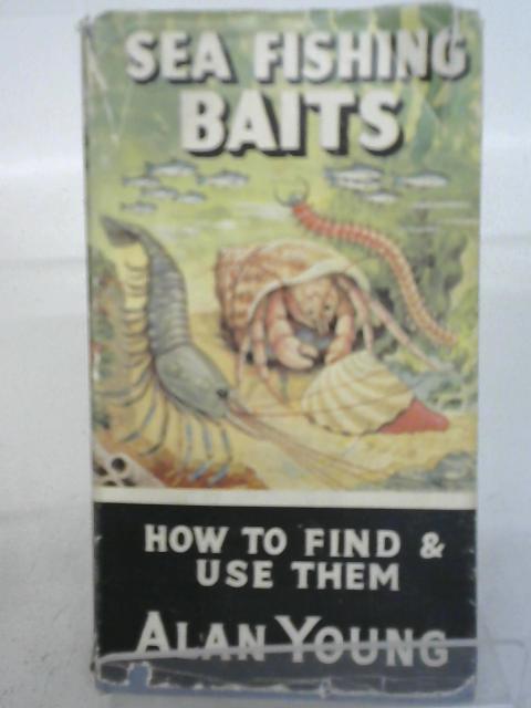 Sea Fishing Baits By Alan Young