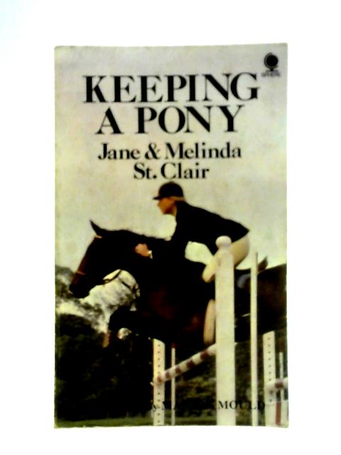 Keeping A Pony von Jane and Melinda St Clair