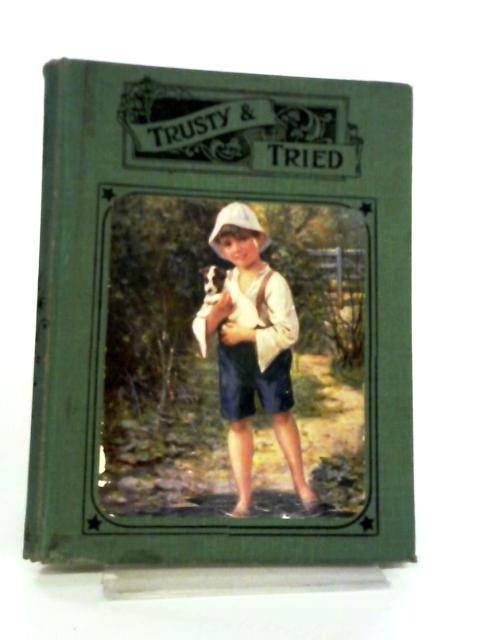 Trusty and Tried - Splendid Stories for Young People By Various