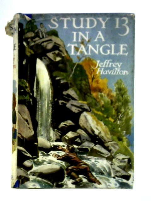 Study Thirteen In a Tangle By Jeffrey Havilton