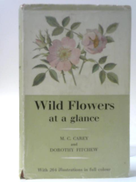 Wild Flowers At A Glance By Mabel C Carey