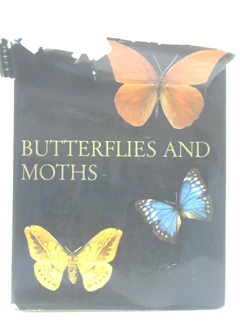 Butterflies and Moths By Unstated