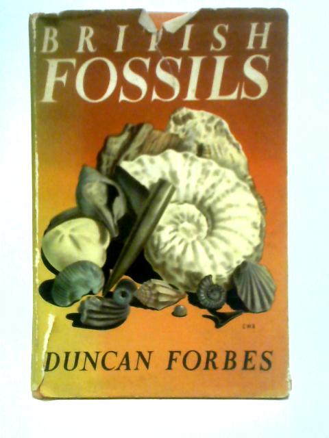 British Fossils By Duncan Forbes