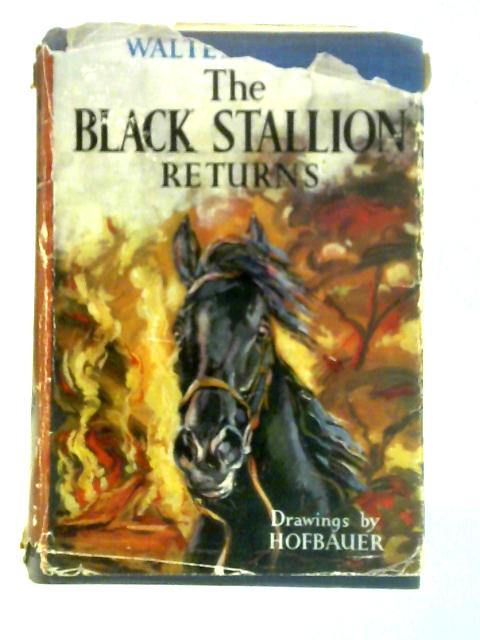 The Black Stallion Returns By Walter Farley