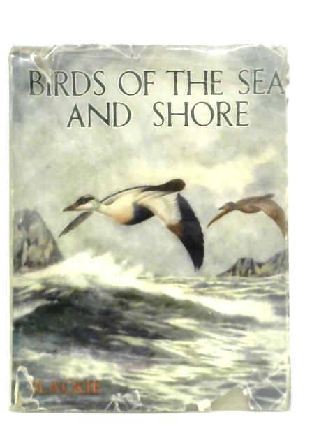 Birds of The Sea and Shore By Robert Aitchen