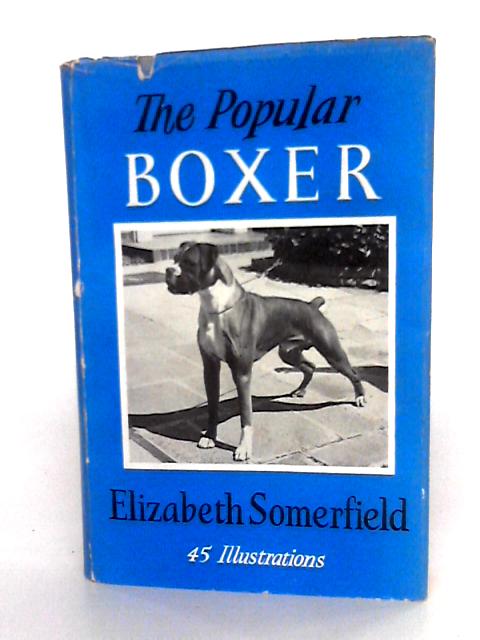 The Popular Boxer By Elizabeth Somerfield