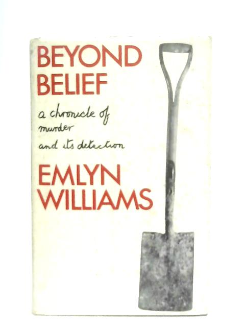 Beyond Belief By Emilyn Williams