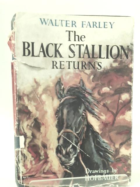 The Black Stallion Returns von Walter Farley