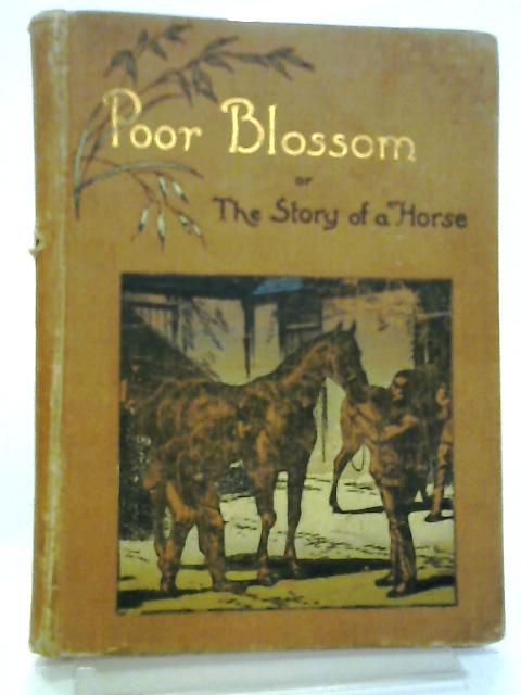 Poor Blossom. The Story of a Horse von Anon