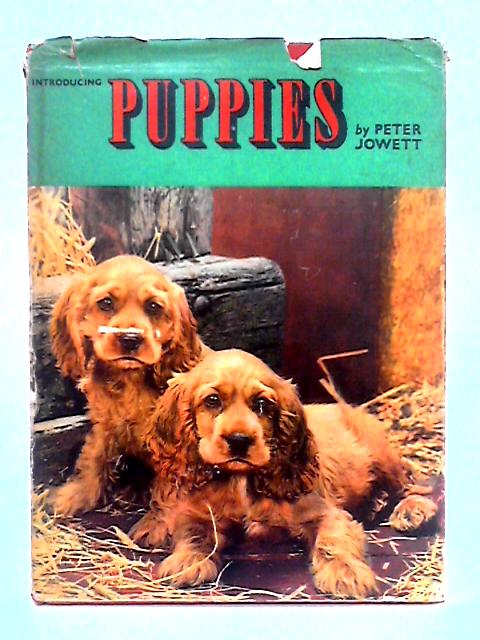 Introducing Puppies par Peter Jowett