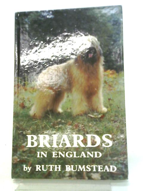 Briards In England By Ruth Bumstead