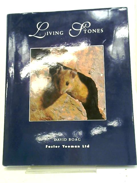 Living Stones By David Boad